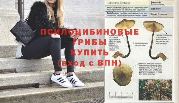 мефедрон Верхний Тагил