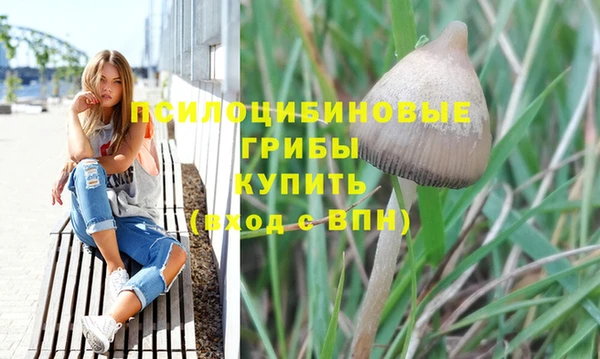 Альфа ПВП Верхнеуральск